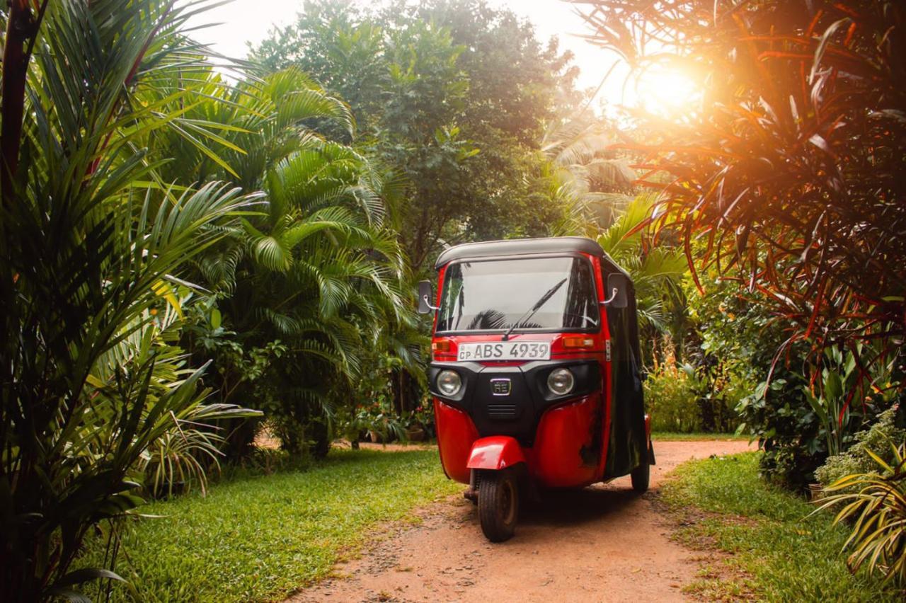 Sigiri Sandilu Homestay Sigiriya Buitenkant foto