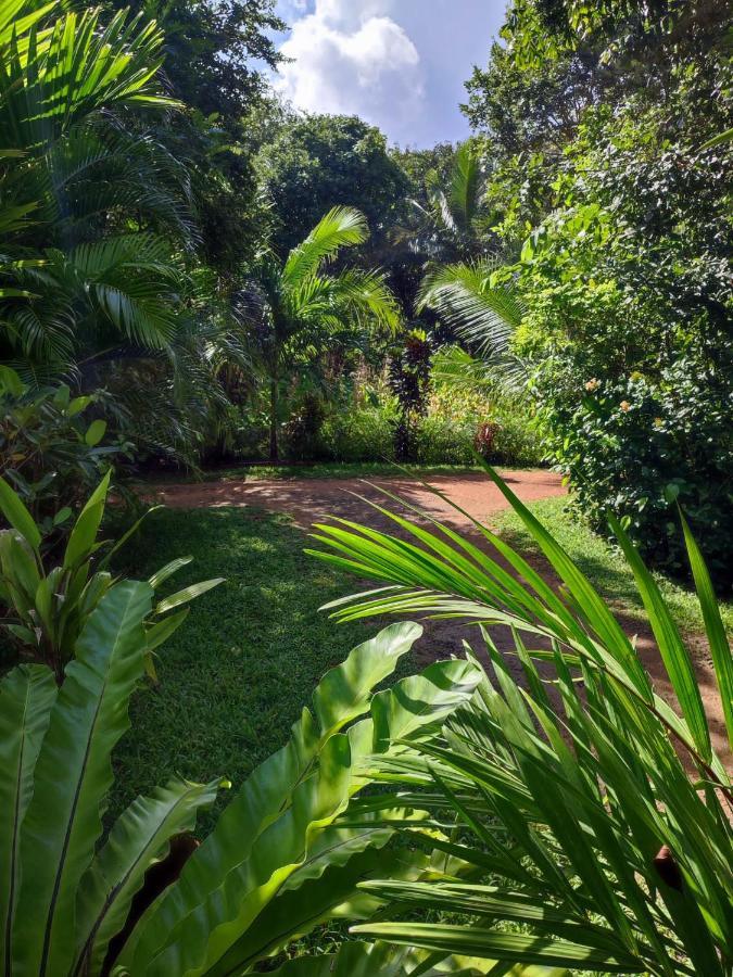 Sigiri Sandilu Homestay Sigiriya Buitenkant foto