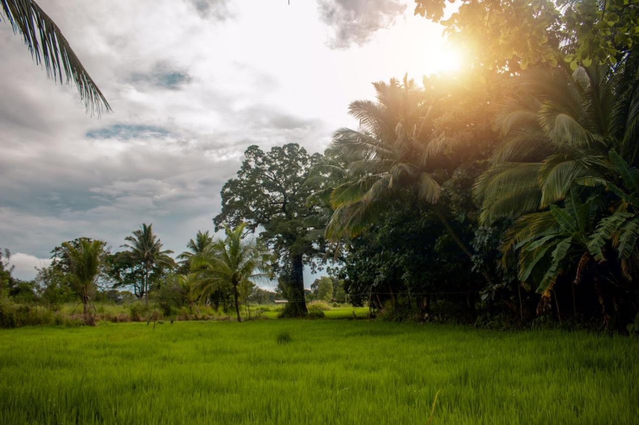 Sigiri Sandilu Homestay Sigiriya Buitenkant foto