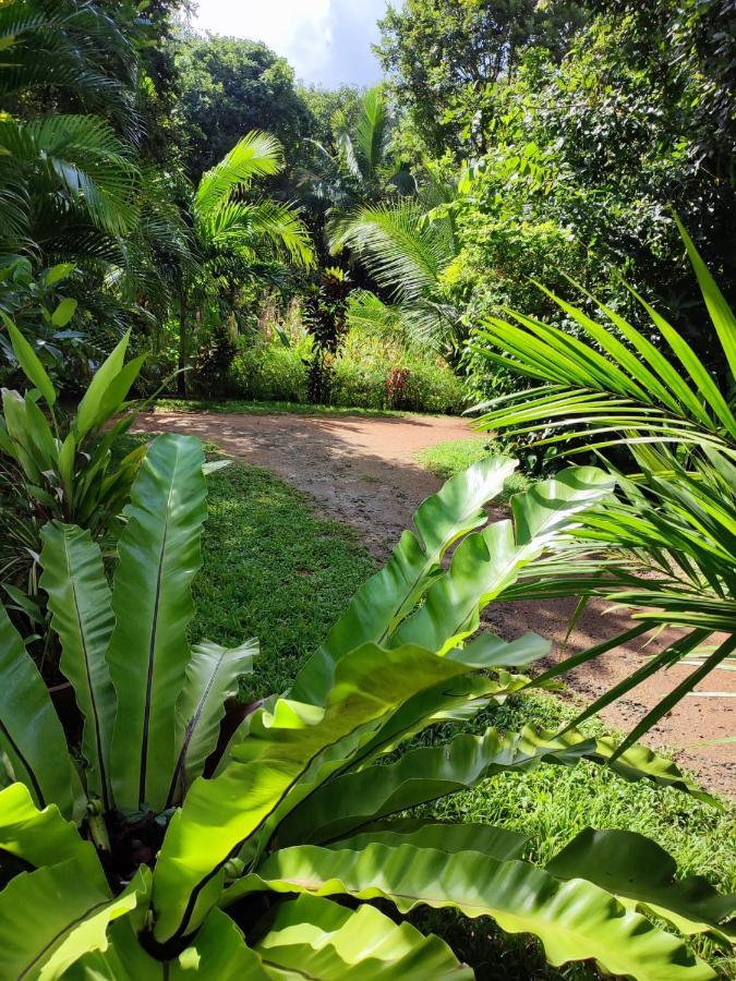Sigiri Sandilu Homestay Sigiriya Buitenkant foto