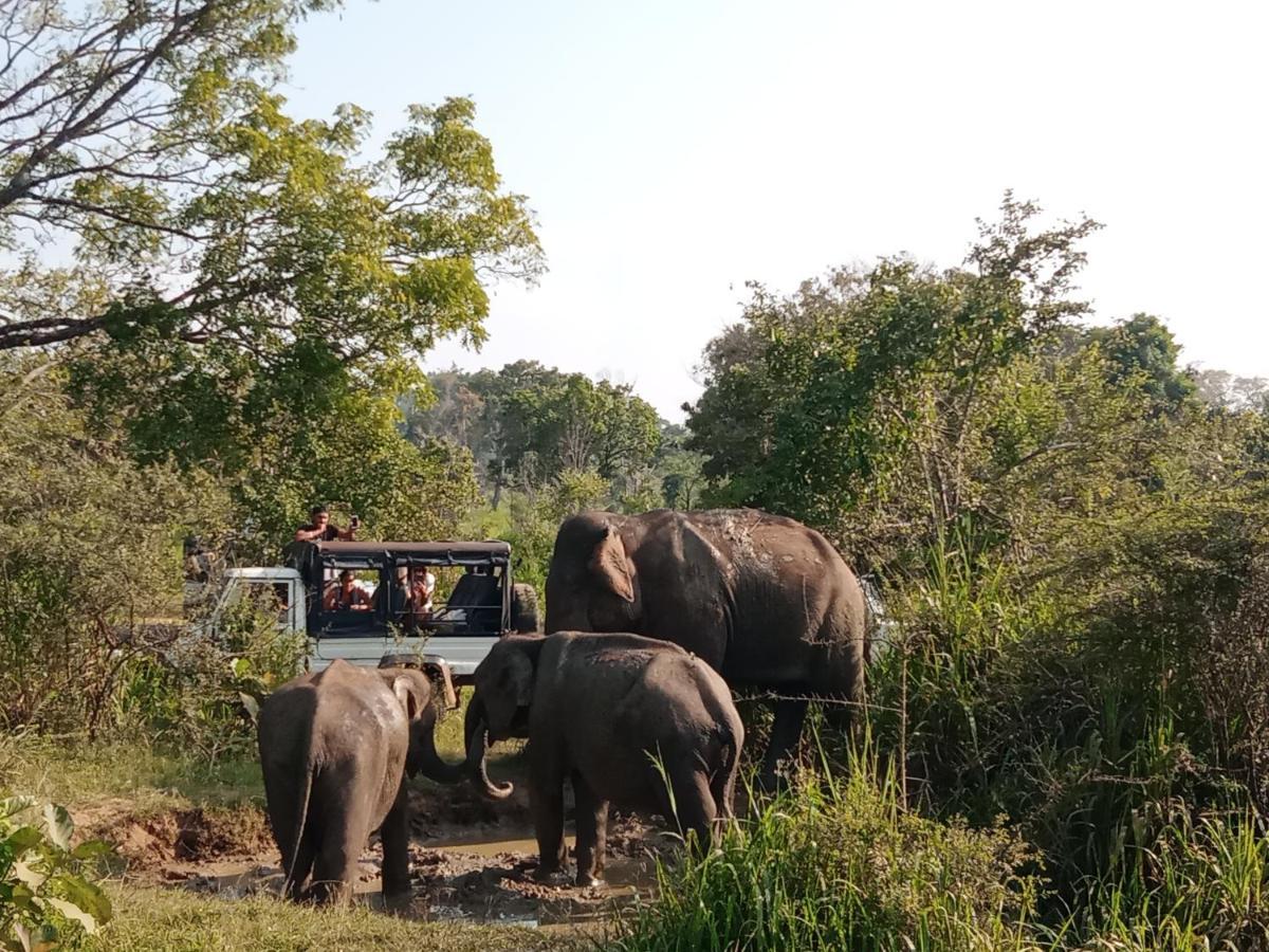 Sigiri Sandilu Homestay Sigiriya Buitenkant foto