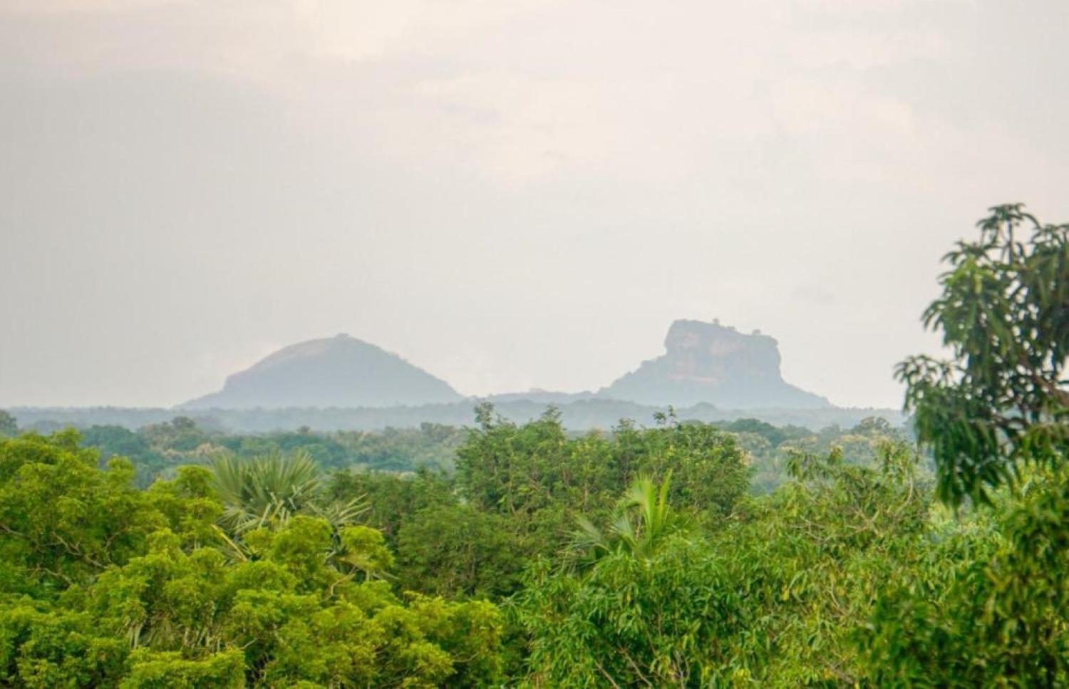 Sigiri Sandilu Homestay Sigiriya Buitenkant foto