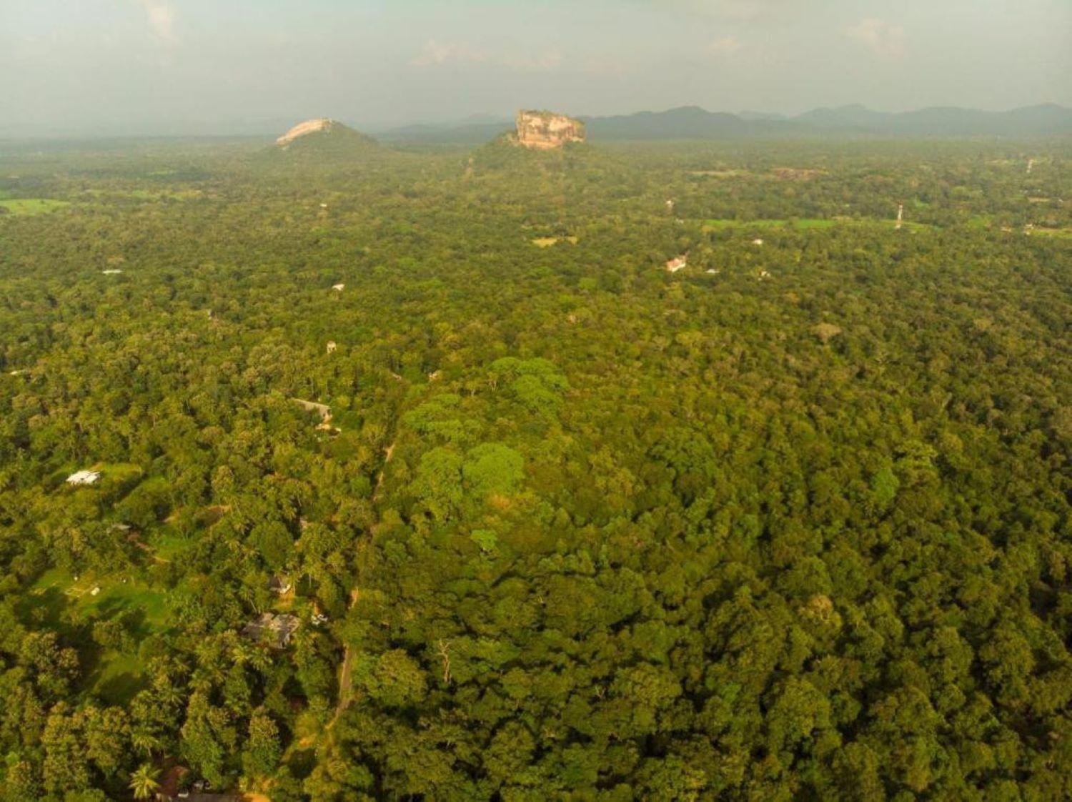 Sigiri Sandilu Homestay Sigiriya Buitenkant foto